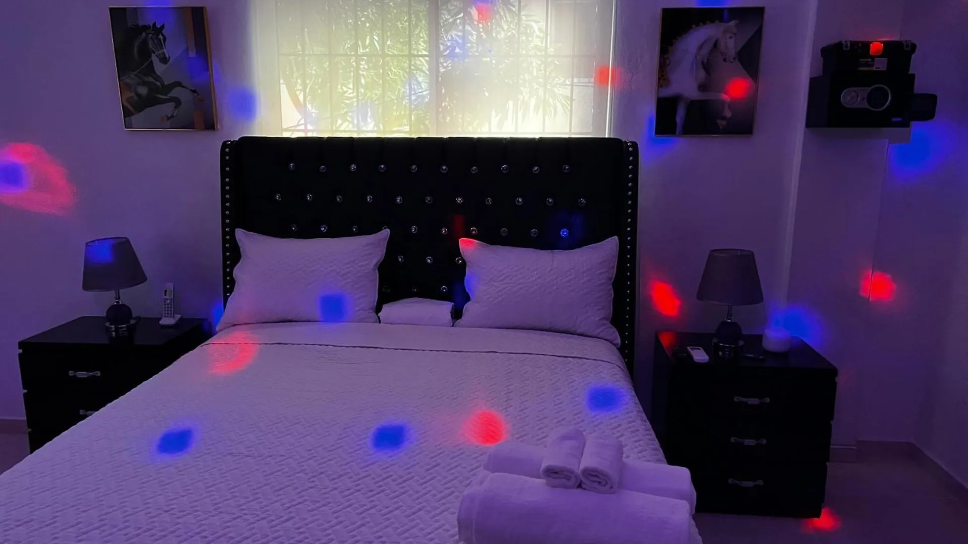 Entire Apartment Tu Nido De Amor 2 Santo Domingo West